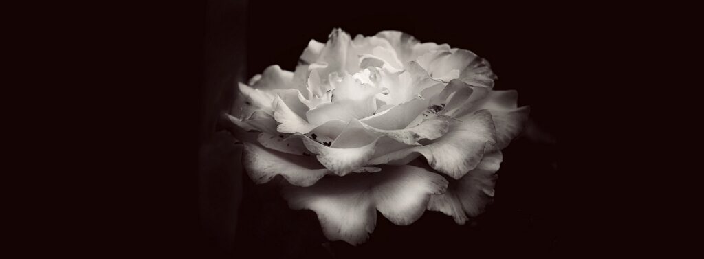 Obit-banner-1140×420-1.jpg