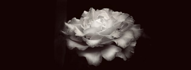 M. Gerald Flaherty