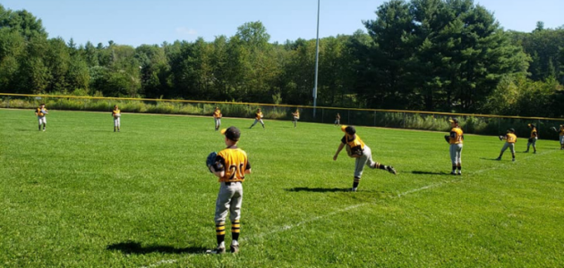 Muskoka Hornets return to diamonds for 2021