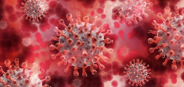 Monck School reports first covid case