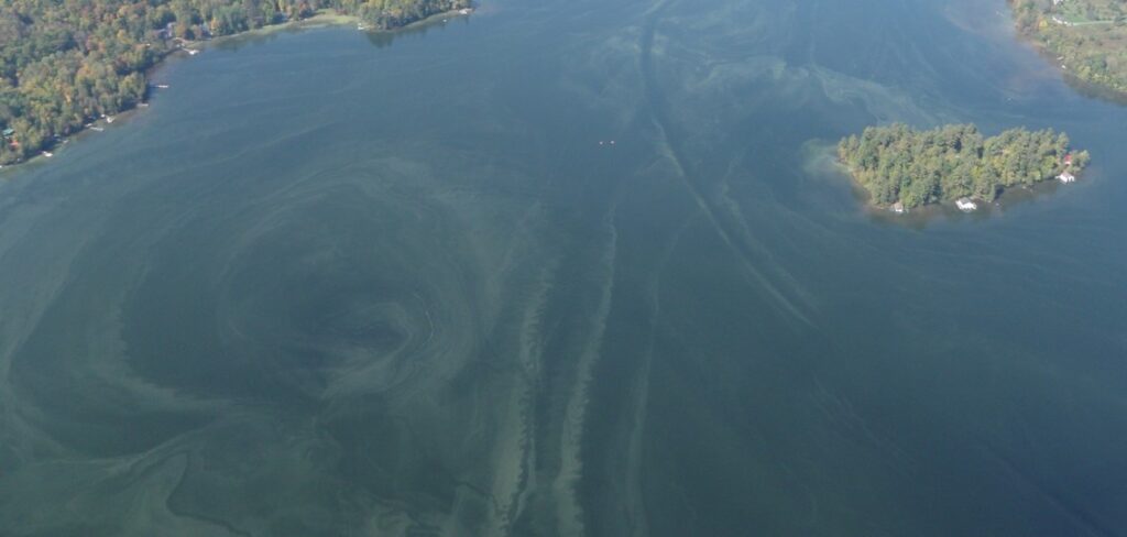 3khZ7TSo-Pen-Lake-Sep-24-aerial-header-Brian-Tapley-1140×543.jpg