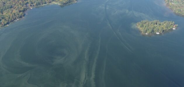 Causation studies being conducted on five Muskoka lakes