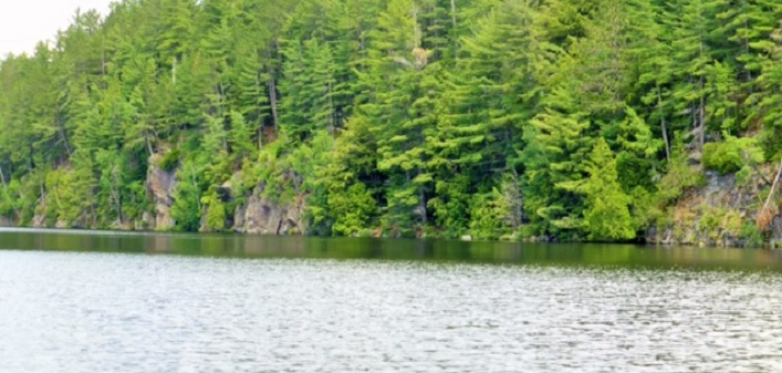 Lake-and-trees-file-photo.jpg