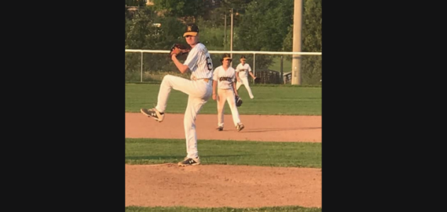 Muskoka joins Northern Elite Osprey baseball