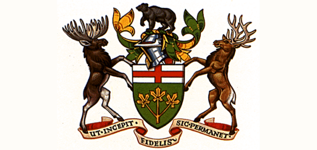 Huntsville man guilty of impaired driving and threatening animals