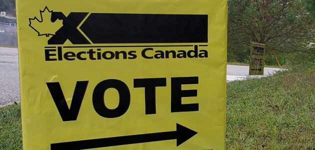 Listen Up! Good riddance to this election! ~ Sally Barnes | Commentary