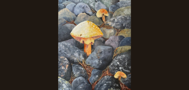 Art Fx #6: “‘Shrooms on the Rocks” by Wendie Donabie