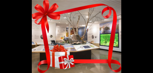 Santa to show science skills in Gravenhurst