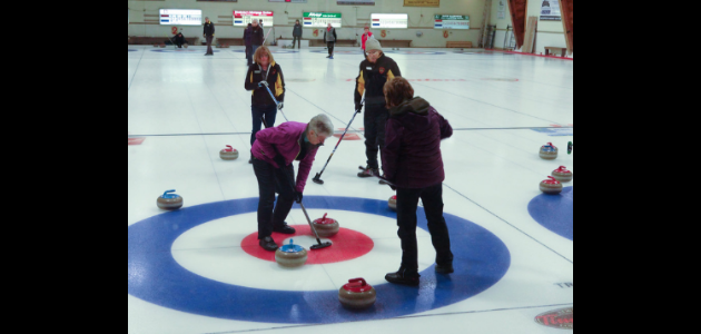 Robotics, Curling Club, others awarded Gravenhurst grants