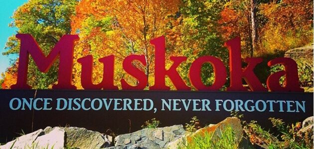 Financial injection available for local tourism businesses