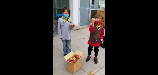Apple Days arrive in Bracebridge