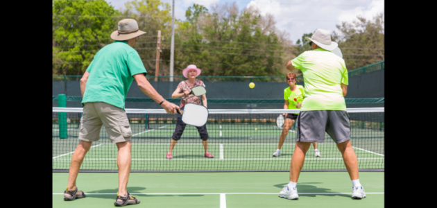 Delegation wants more pickleball in Gravenhurst