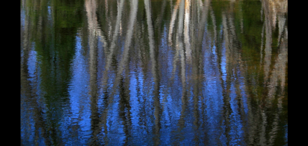 Art Fx: Blue Reflection by Michael Toole