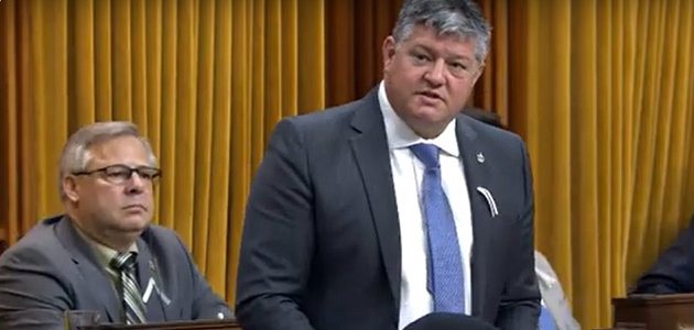 Aitchison to run for federal Conservative Party leadership