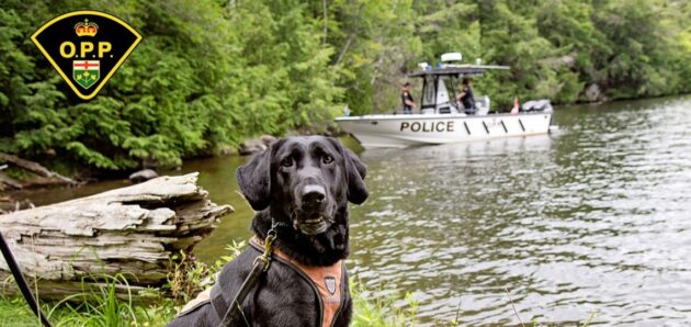 OPP K-9 Unit calendar supports ‘paw’some causes