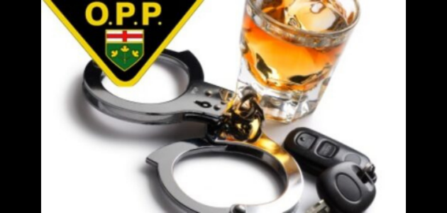 Muskoka drivers plead guilty to over 80