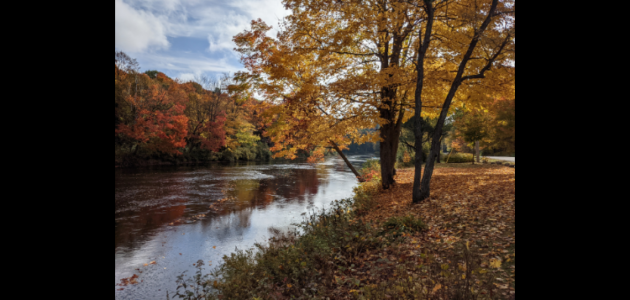Bracebridge moves forward with $5.9 million-dollar river dredging project