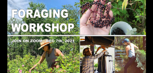 Ready…set…forage!