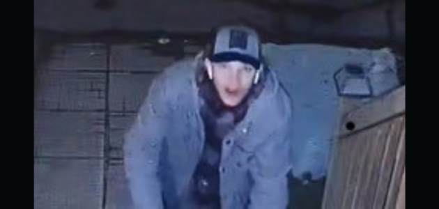 OPP issue warning after woman sexually assaulted in her home