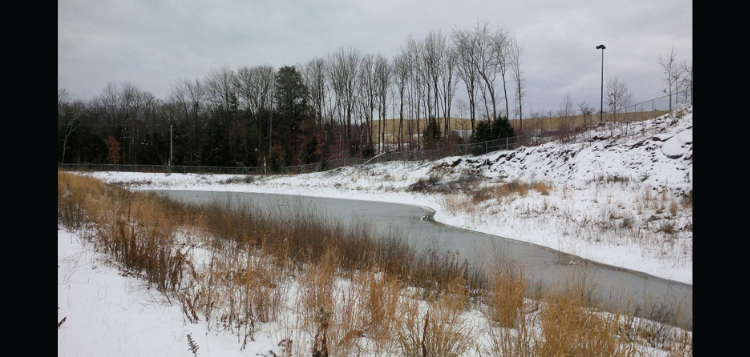 gravenhurst-2.png