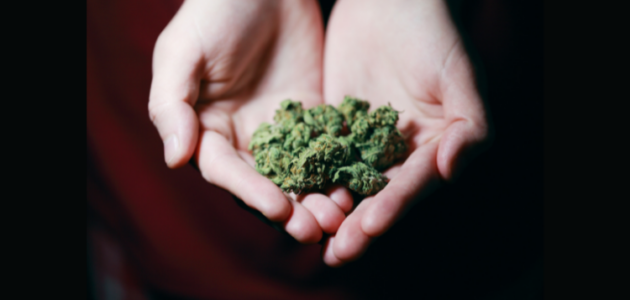 Muskoka man convicted of having too much marijuana