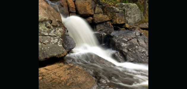 District launches Envirohub initiative