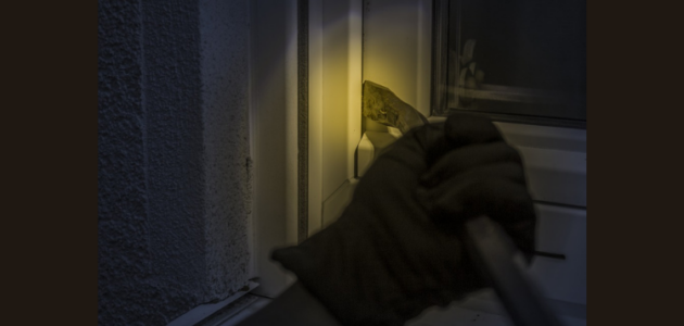 CCTV catches Bracebridge burglar