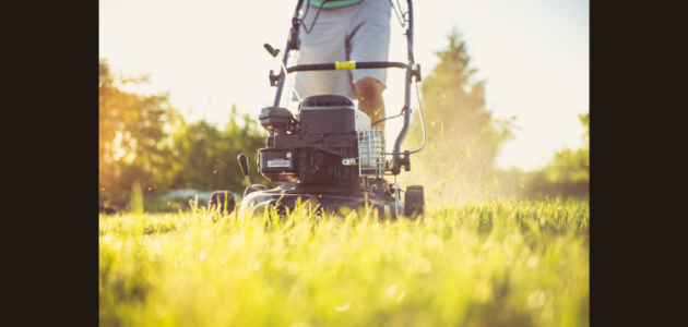 Muskoka job fair targets landscapers