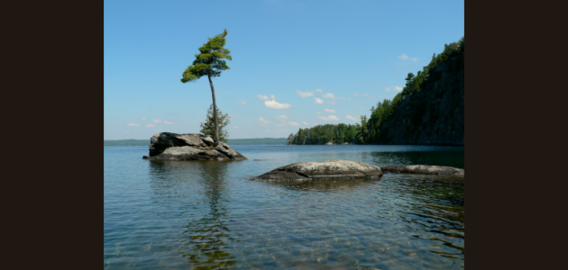 Councillors worry about future of marina on Skeleton Lake
