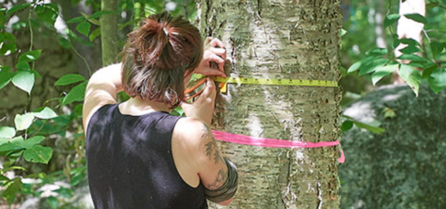 Friends of the Muskoka Watershed seeks citizen scientists