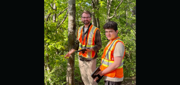 U of T collaborates with Gravenhurst on tree assessment