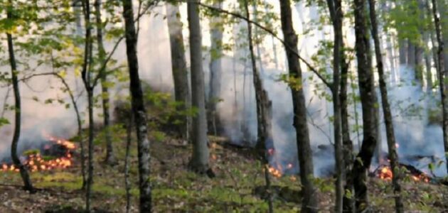 District releases flood, fire, voting apps
