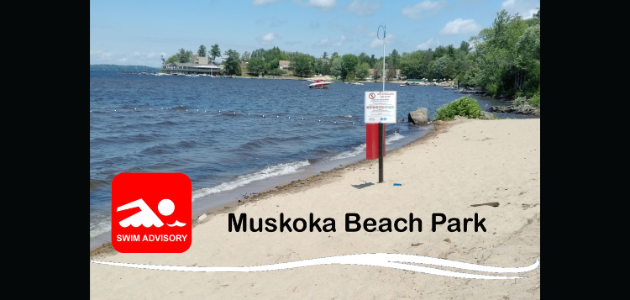 Muskoka Bay Beach now under swim advisory