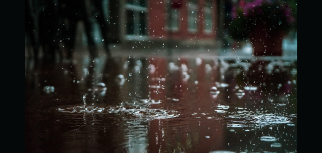 Rainfall warning in effect for Muskoka