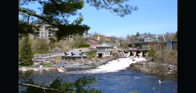 Candidates for Bracebridge council