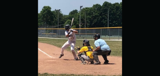 Muskoka Hornets baseball results