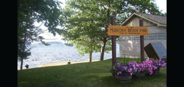 Swim advisory for Muskoka Beach Park