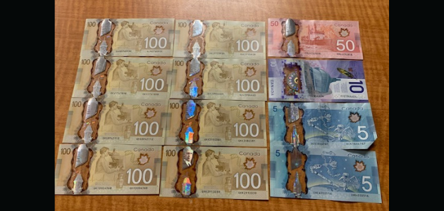 Beaver Creek visitor charged with several offences