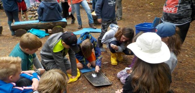 Grade 6 TLDSB students to attend Camp Muskoka in Bracebridge while a committee reviews outdoor education programming