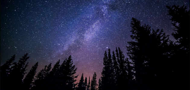 Muskoka Lakes seeks dark sky input from the public