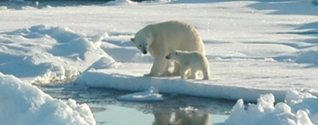 How are we doing in our contributions to mitigate climate change?
