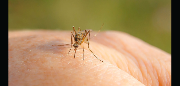 SMDHU reports first case of West Nile for 2022