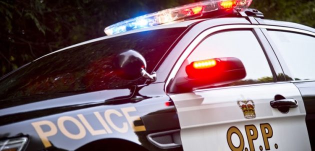 Gravenhurst traffic stop results in drug charges