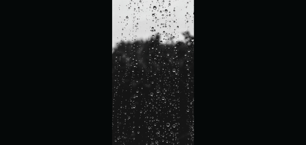 Doppler daily weather report