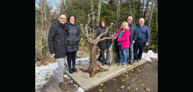 Newly unveiled Bracebridge sculpture honours young cancer victim