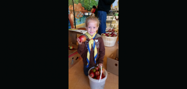 Apple Days this week in Bracebridge