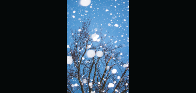 South Muskoka under snow advisory