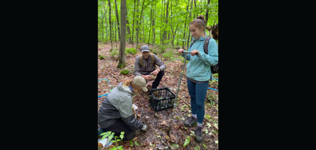 Friends of the Muskoka Watershed earns charitable designation