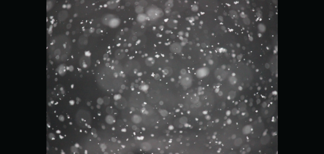 Doppler daily weather report