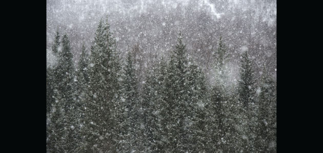 Doppler daily weather report